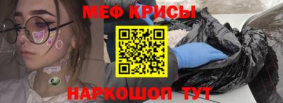 крисы Камышлов