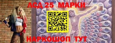 крисы Камышлов