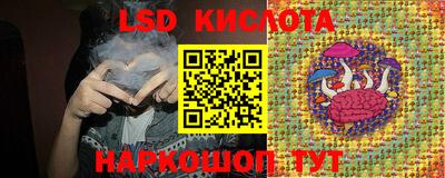 стаф Кандалакша