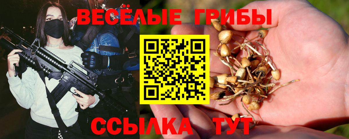 Галлюциногенные грибы MAGIC MUSHROOMS  даркнет сайт  Красный Сулин  Вход с VPN 